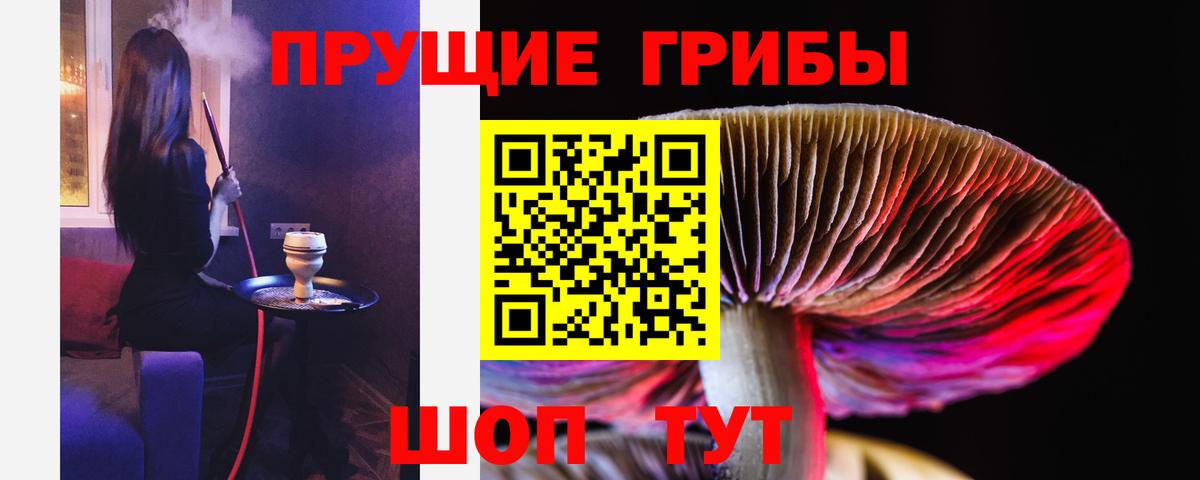 Галлюциногенные грибы Magic Shrooms  Вход с VPN  Унеча 
