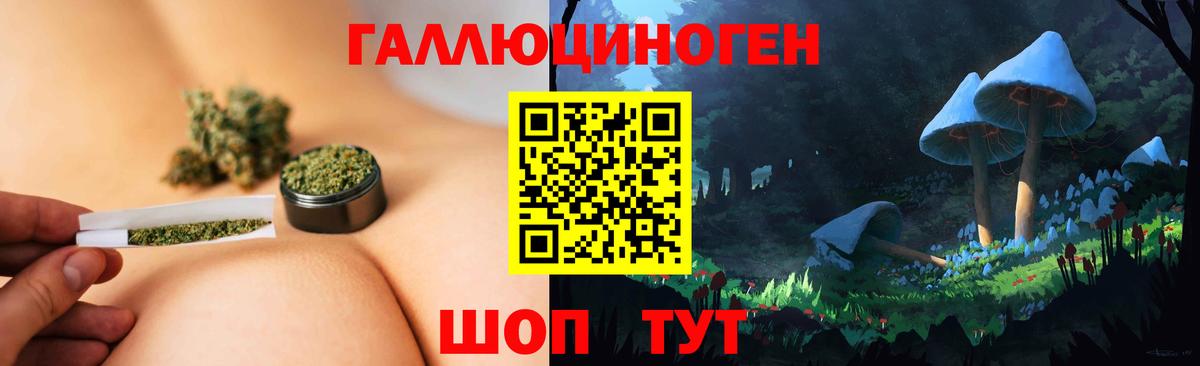 Псилоцибиновые грибы Psilocybe Унеча